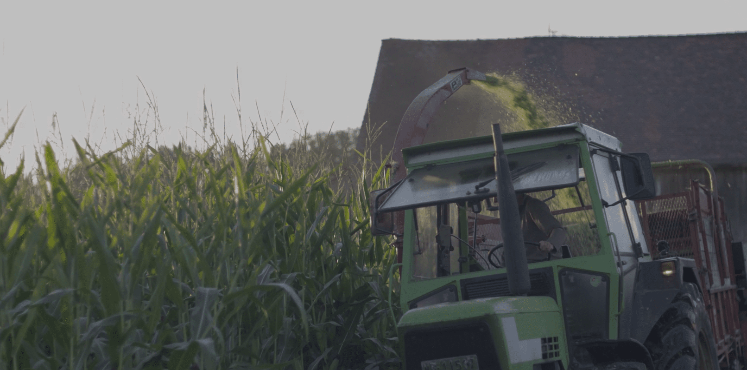 Une paille qui protège l'environnement