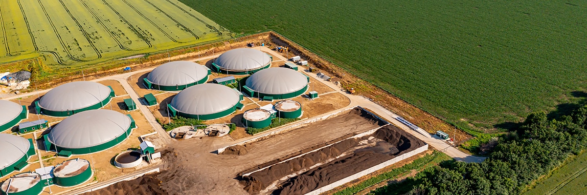 Europäischen Biogasverband (EBA)